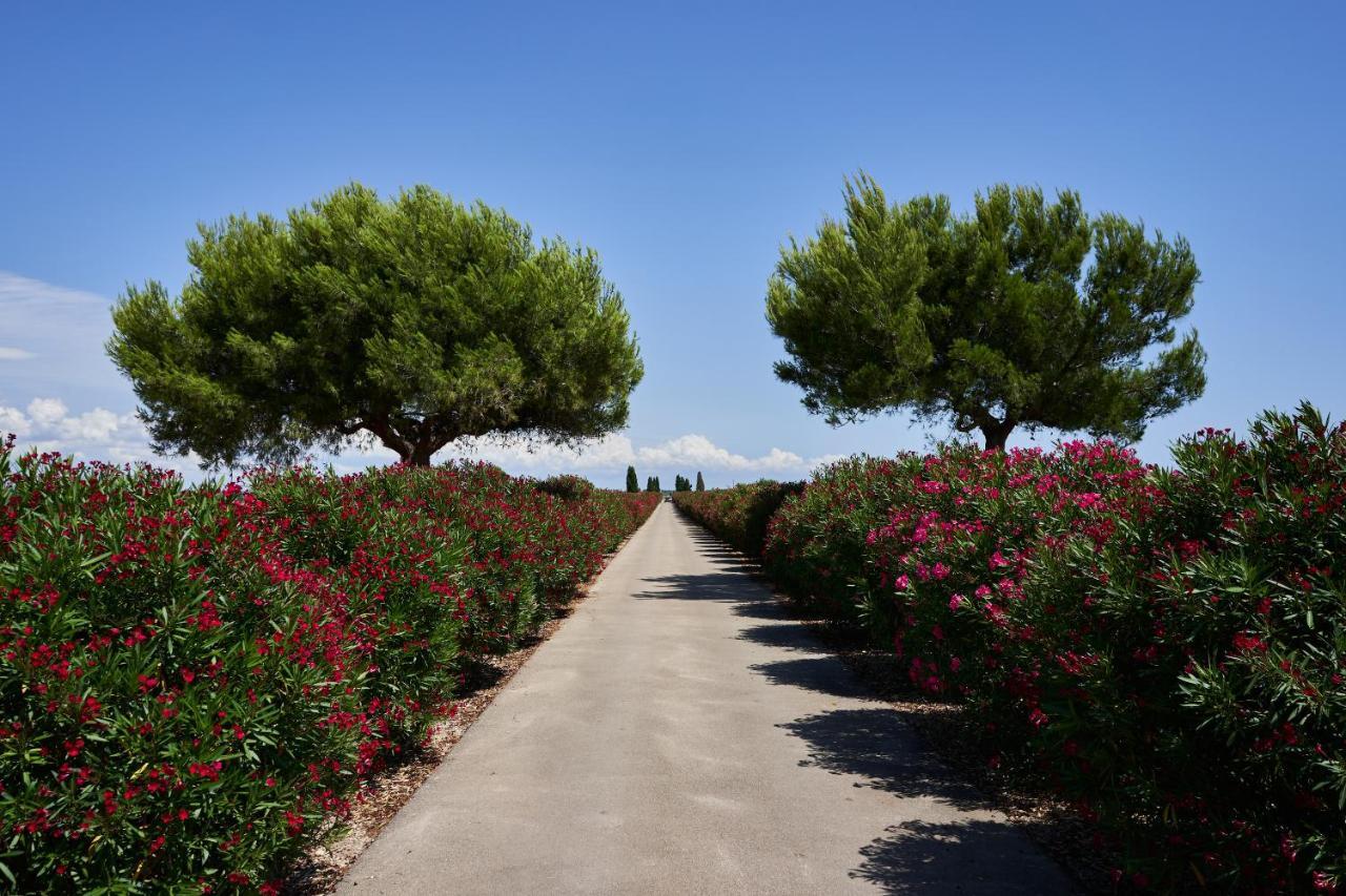 Masseria Bagnara Resort & Spa Marina di Lizzano Exterior foto